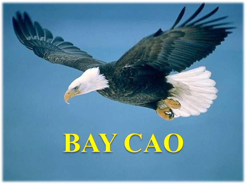 Bay cao